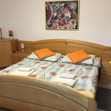 招待所 In Guest - Lovely With Barbecue Terrace And Free Parking On Premises